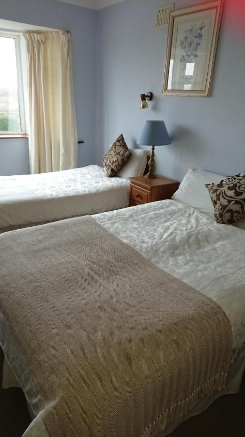 Seashore Lodge Guesthouse غالواي المظهر الخارجي الصورة
